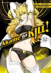 akame ga kill! 12