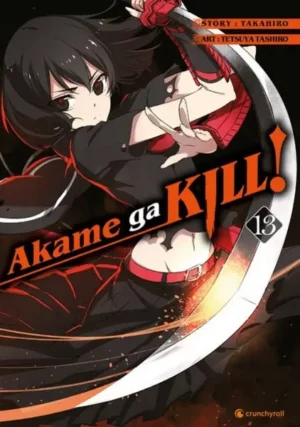 akame ga kill! 13