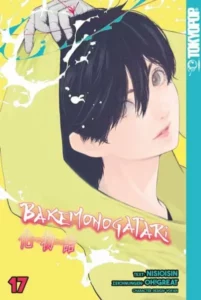 bakemonogatari 17