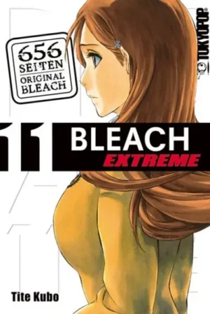 bleach extreme 11