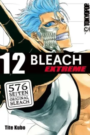 bleach extreme 12