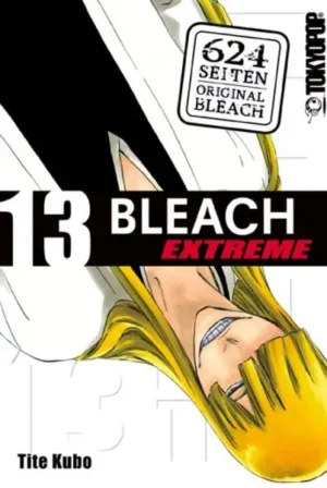 bleach extreme 13