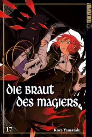 die braut des magiers 17