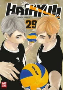 haikyu!! 29