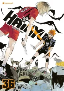 haikyu!! 36