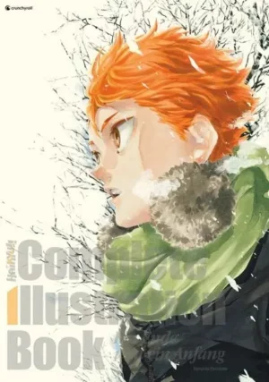 haikyu!! complete illustration book