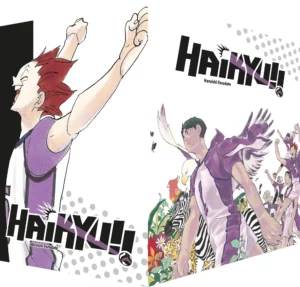 haikyu!! 31 40 im sammelschuber
