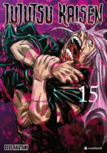 jujutsu kaisen 15