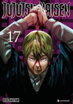 jujutsu kaisen 17