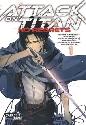 attack on titan no regrets 1