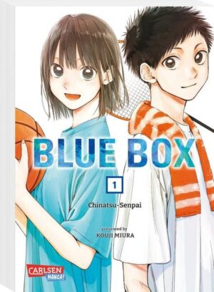 blue box 1
