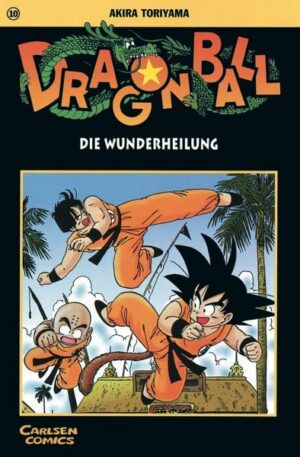 dragon ball 10