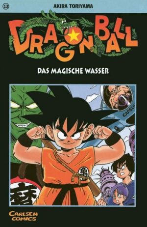 dragon ball 13