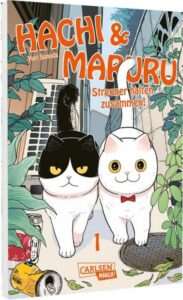 hachi & maruru – streuner halten zusammen! 1