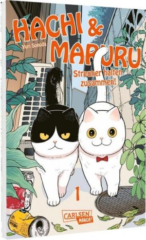 hachi & maruru – streuner halten zusammen! 1