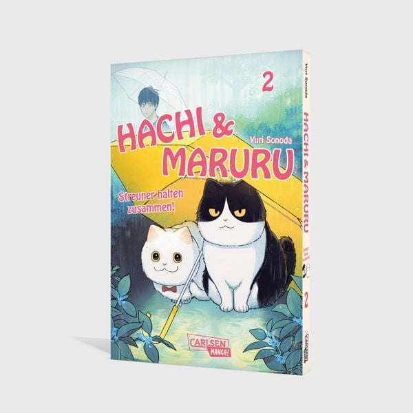 hachi & maruru – streuner halten zusammen! 2 hachi & maruru – streuner halten zusammen! 2