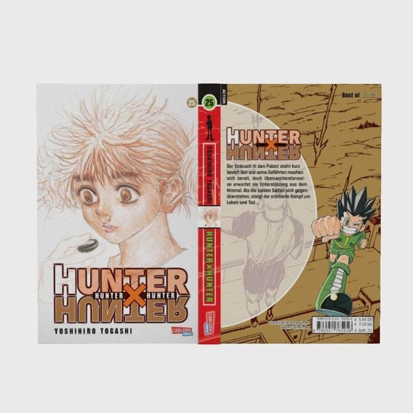 hunter x hunter 25 hunter x hunter 25