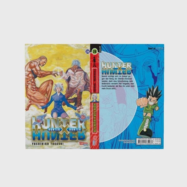 hunter x hunter 28 hunter x hunter 28