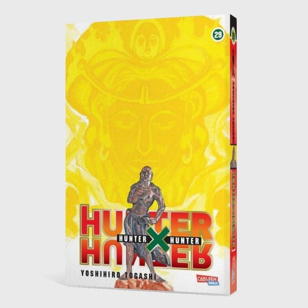 hunter x hunter 29 hunter x hunter 29