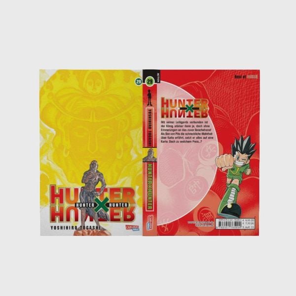 hunter x hunter 29 hunter x hunter 29