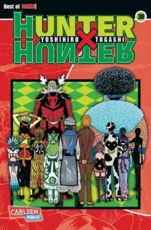 hunter x hunter 30