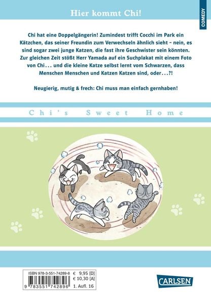 kleine katze chi 10 kleine katze chi 10