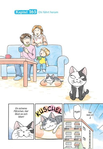 kleine katze chi 10 kleine katze chi 10