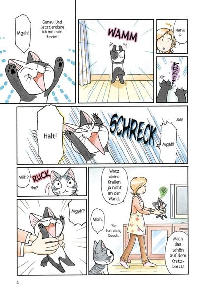 kleine katze chi 10 kleine katze chi 10