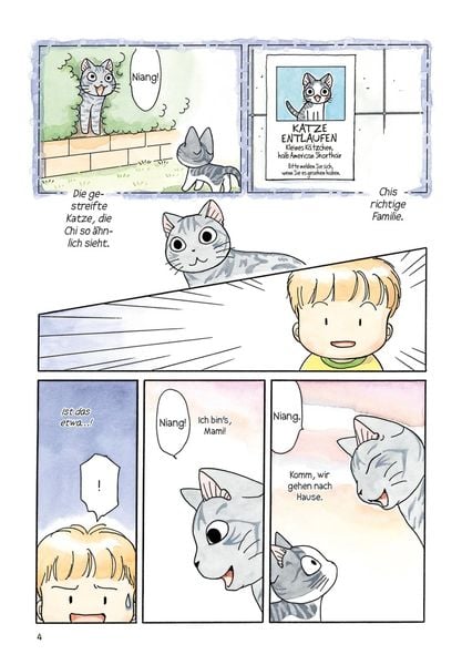 kleine katze chi 12 kleine katze chi 12