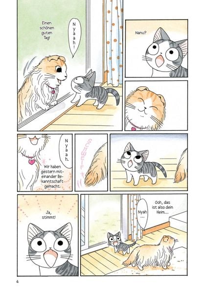 kleine katze chi 5 kleine katze chi 5