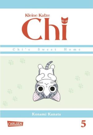 kleine katze chi 5