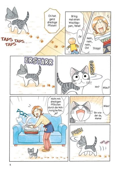 kleine katze chi 6 kleine katze chi 6