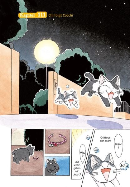 kleine katze chi 7 kleine katze chi 7