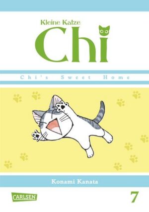 kleine katze chi 7
