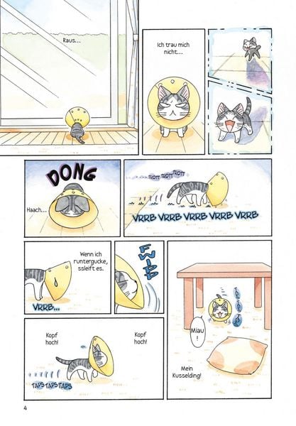 kleine katze chi 9 kleine katze chi 9