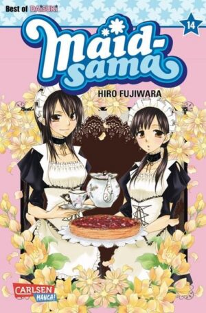 maid sama 14
