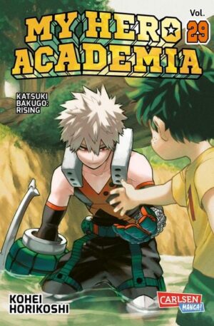 my hero academia 29