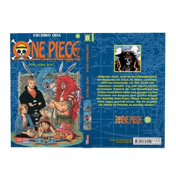one piece 31 one piece 31