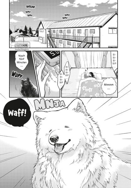 one room dog 1 one room dog 1
