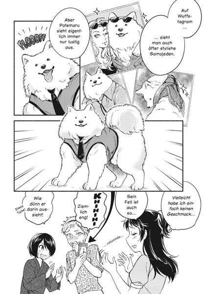 one room dog 3 one room dog 3