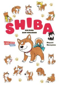shiba ein hund zum verlieben