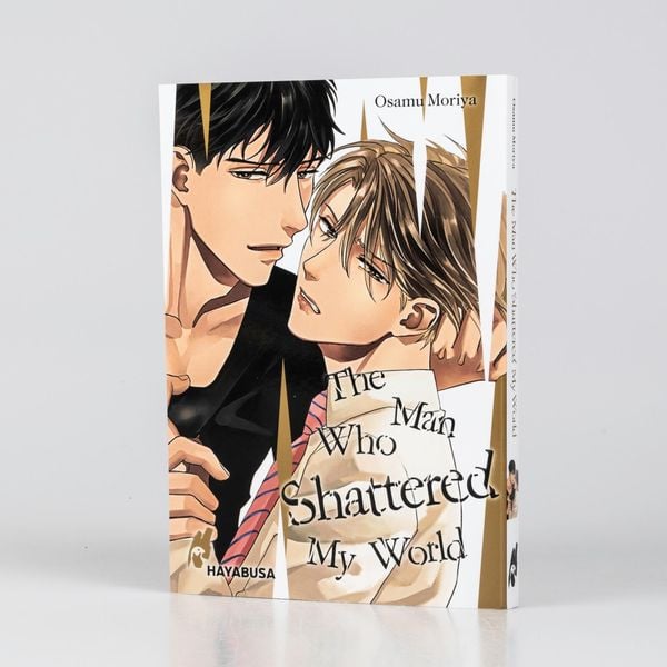the man who shattered my world the man who shattered my world