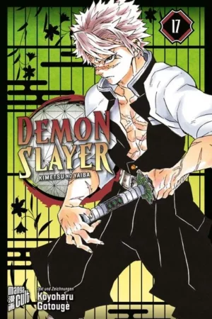 demon slayer kimetsu no yaiba 17 taschenbuch koyoharu gotouge.jpeg